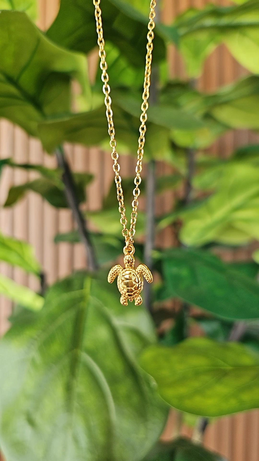 KAPAA CHAIN